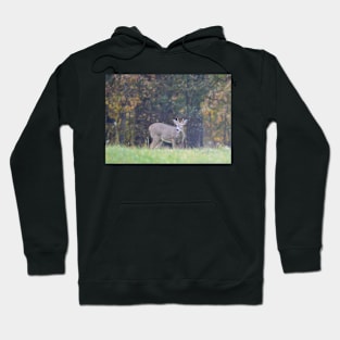 Deer Hoodie